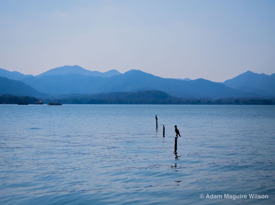 Sample photograph 5